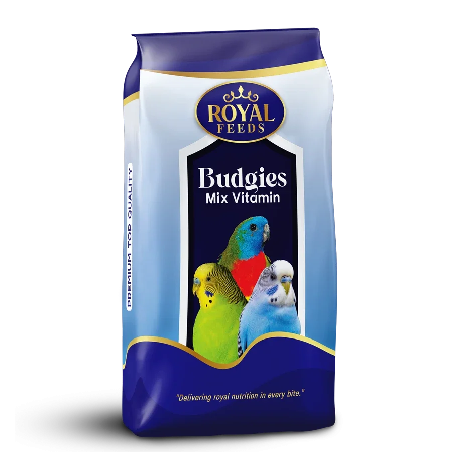 a9klv4dxar1ahy90ptt4