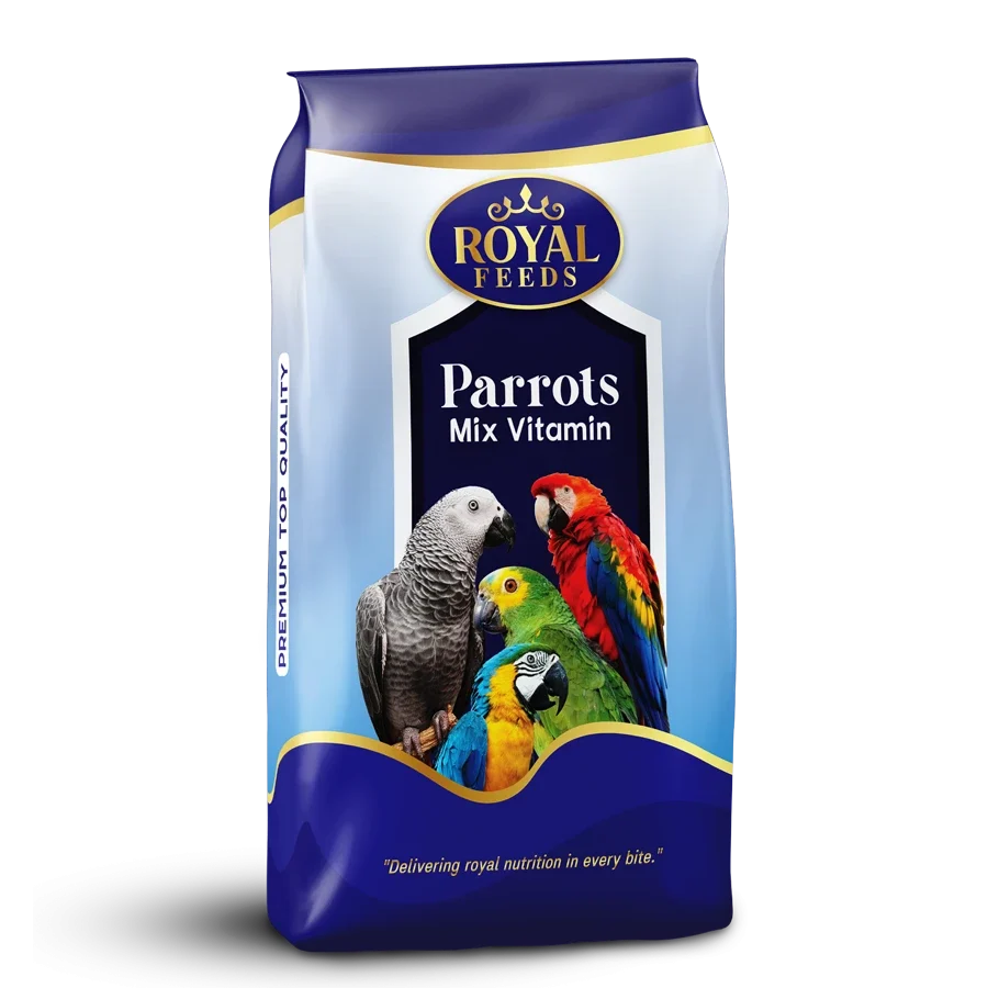 bo6zi5xyghawl3nuhdo7