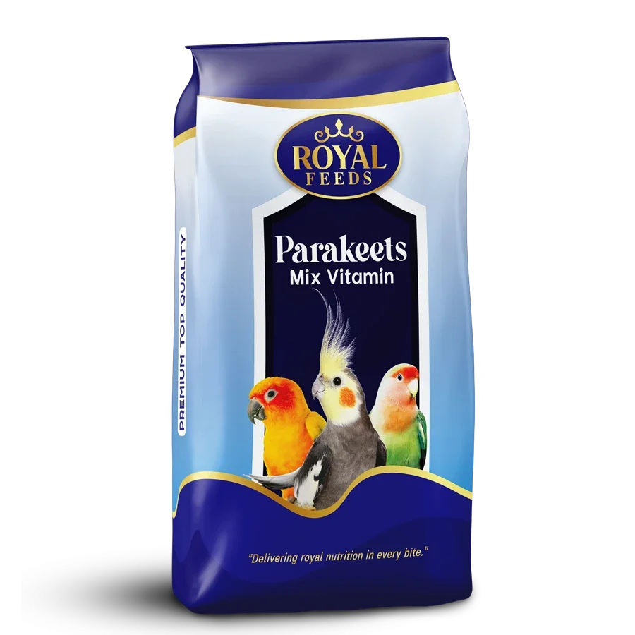 t1tmms8bzmlwds2w8z1z